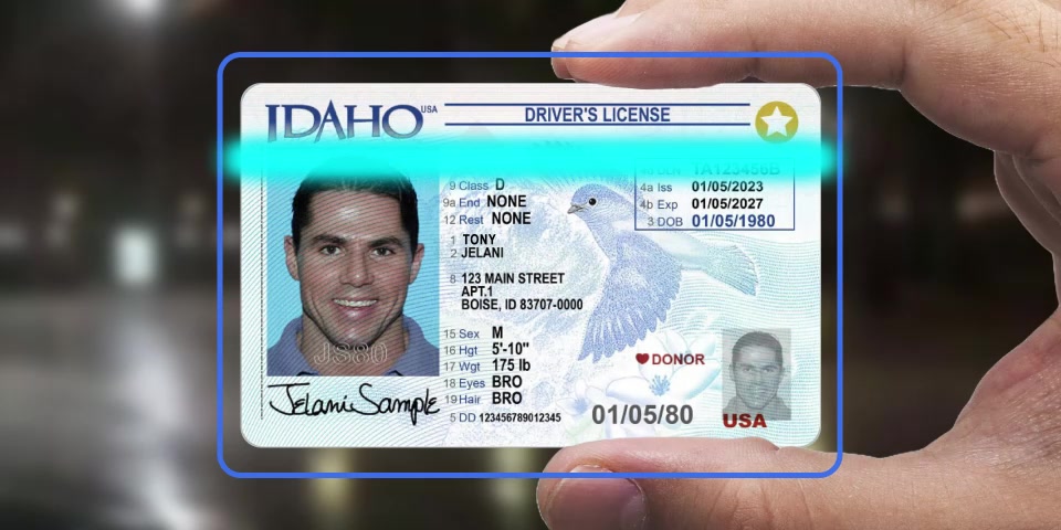 IVO app ID scan screen showing verification in progress